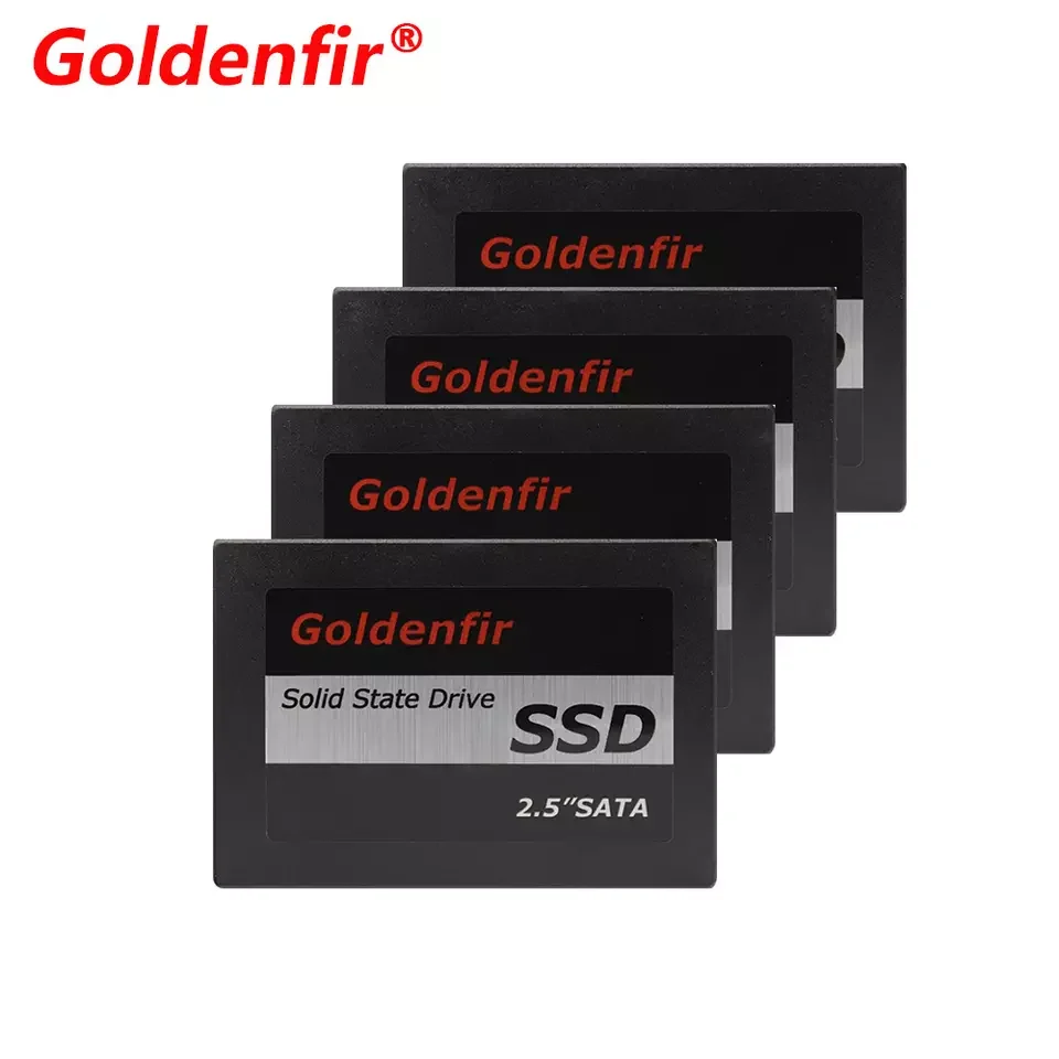 Goldenfir SATA SSD 256GB 2.5インチ 2個セット