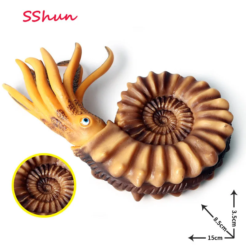 

15*8.5*3.5CMChildren simulation marine life model conch, nautilus shell doll, underwater animal model toy decoration