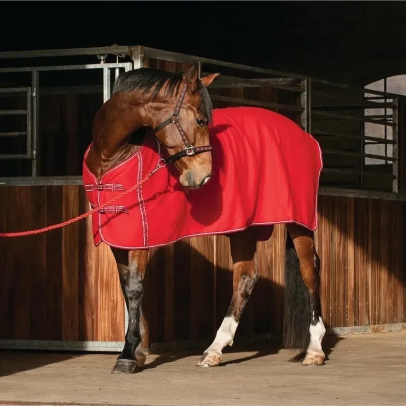 Spring and Autumn Single Layer Polar Fleece Horsecloth Sweat-Absorbent Thermal and Windproof Cold Blanket Equestrian Horse Rugs