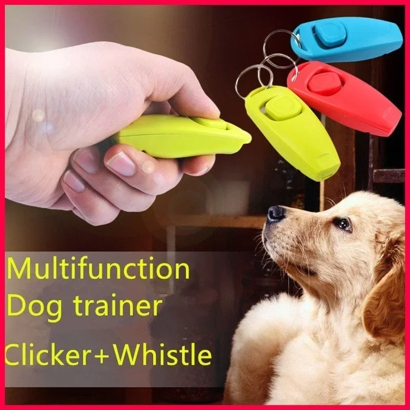 Sifflet d'entraînement pour chien