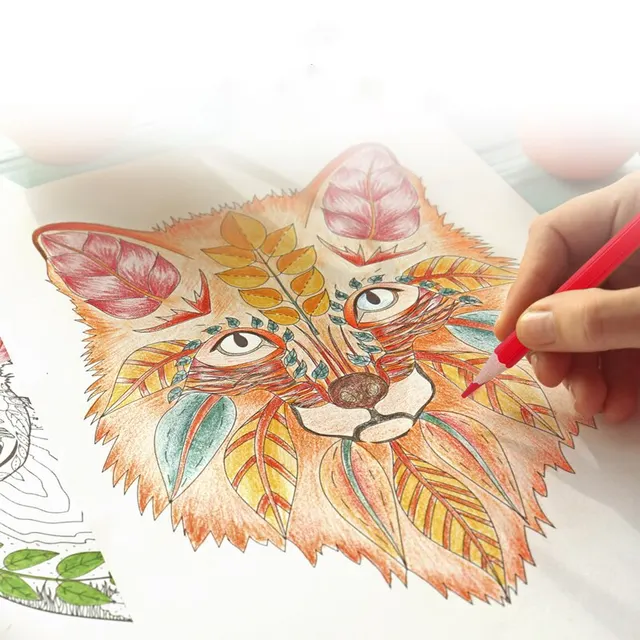 Deli 24 36 48 Set di matite colorate oleose a canna di colore Scatole da disegno a piombo Matita per schizzi a colori per studenti Disegno artistico 4