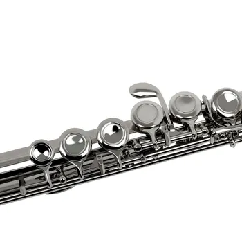 SLADE 16 Closed Open Holes C Key Professional Transverse Flute Concert Musical Instrument with Box