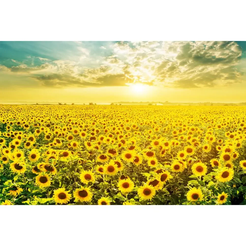 thumbnail image 1 of MOON.QG Fondo de fotografía de campo de granja de primavera, paisaje de pastizales con girasoles, fondo para sesión fotográfica de fiesta, decoración personalizada, accesorios para fotos, 1 of 5
