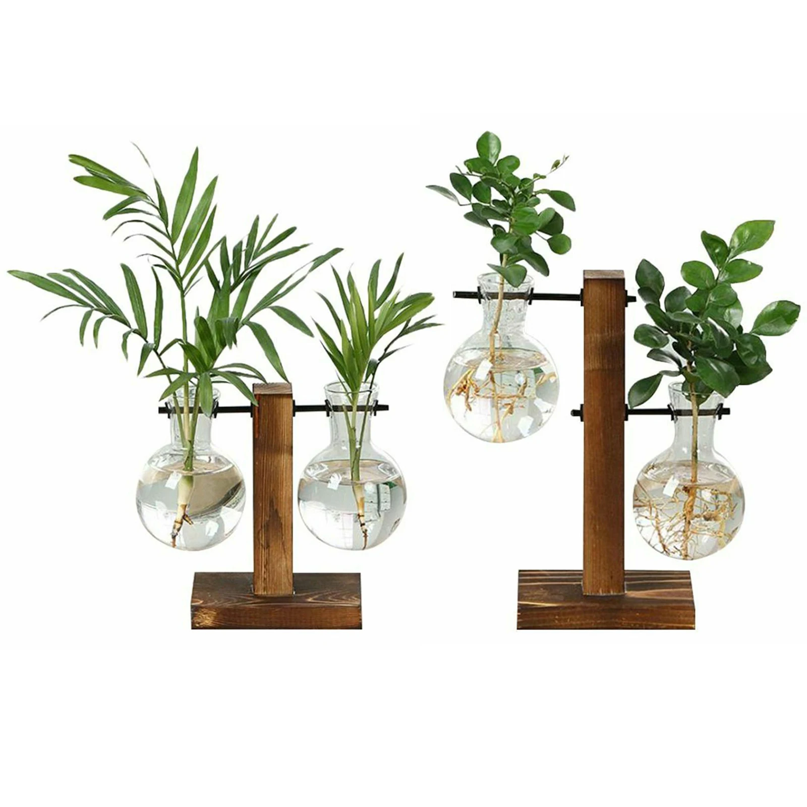 Glass Desktop Planter with Wooden Stand for Home Decor