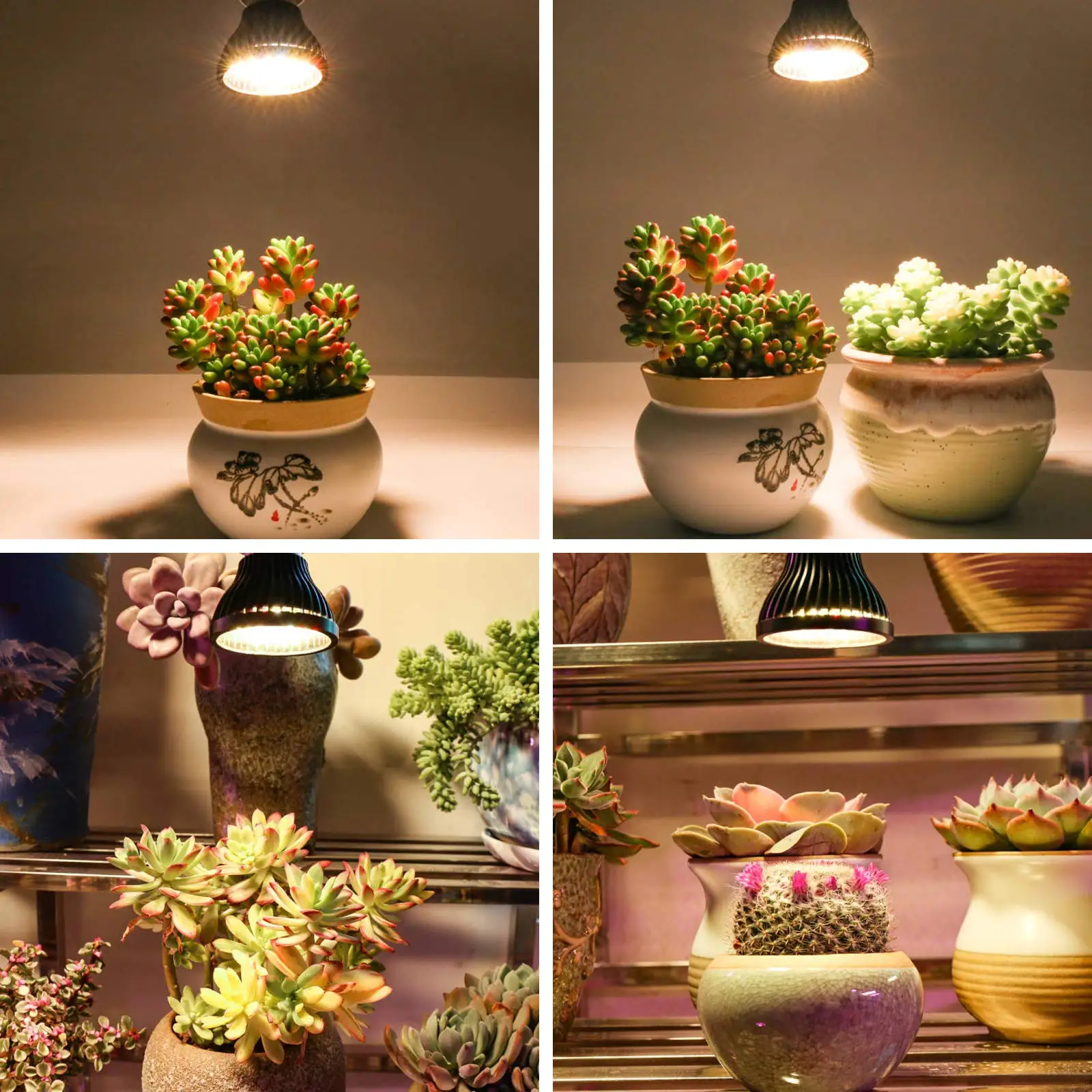 실내 식물 수경재배 온실 관엽 야채용 햇빛 LED 성장 조명, 전체 스펙트럼 전구, 40W E26/E27, 2 팩