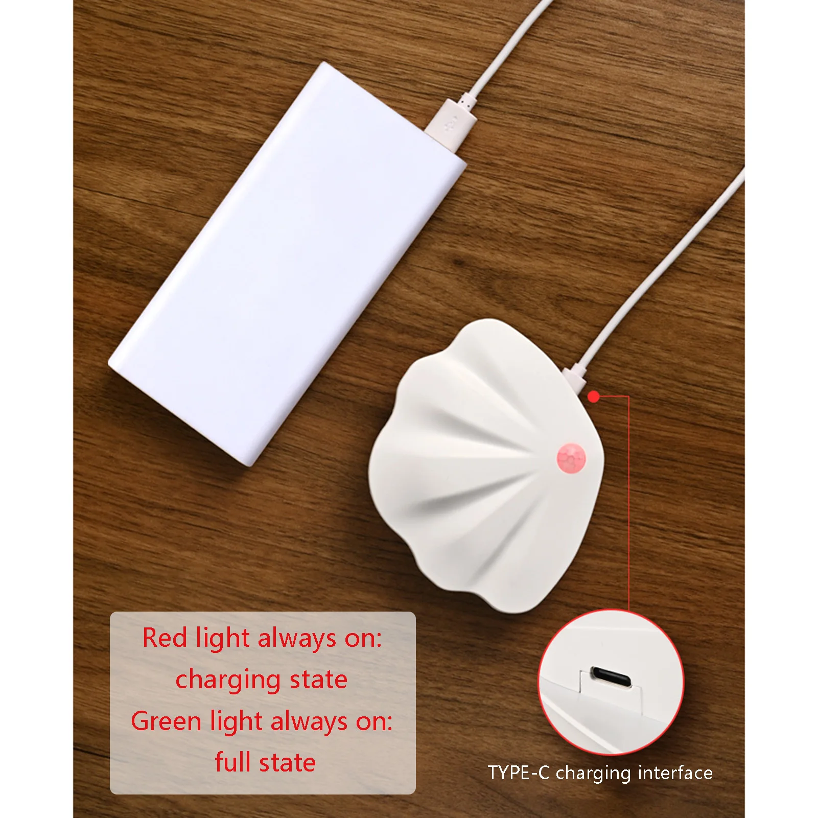 Рисунок 4 - Светодиодный датчик движения Ночной