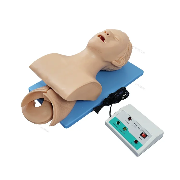 

SY-N044 Model with Electronic Alarm Airway Management Simulator Model Oronasal intubation
