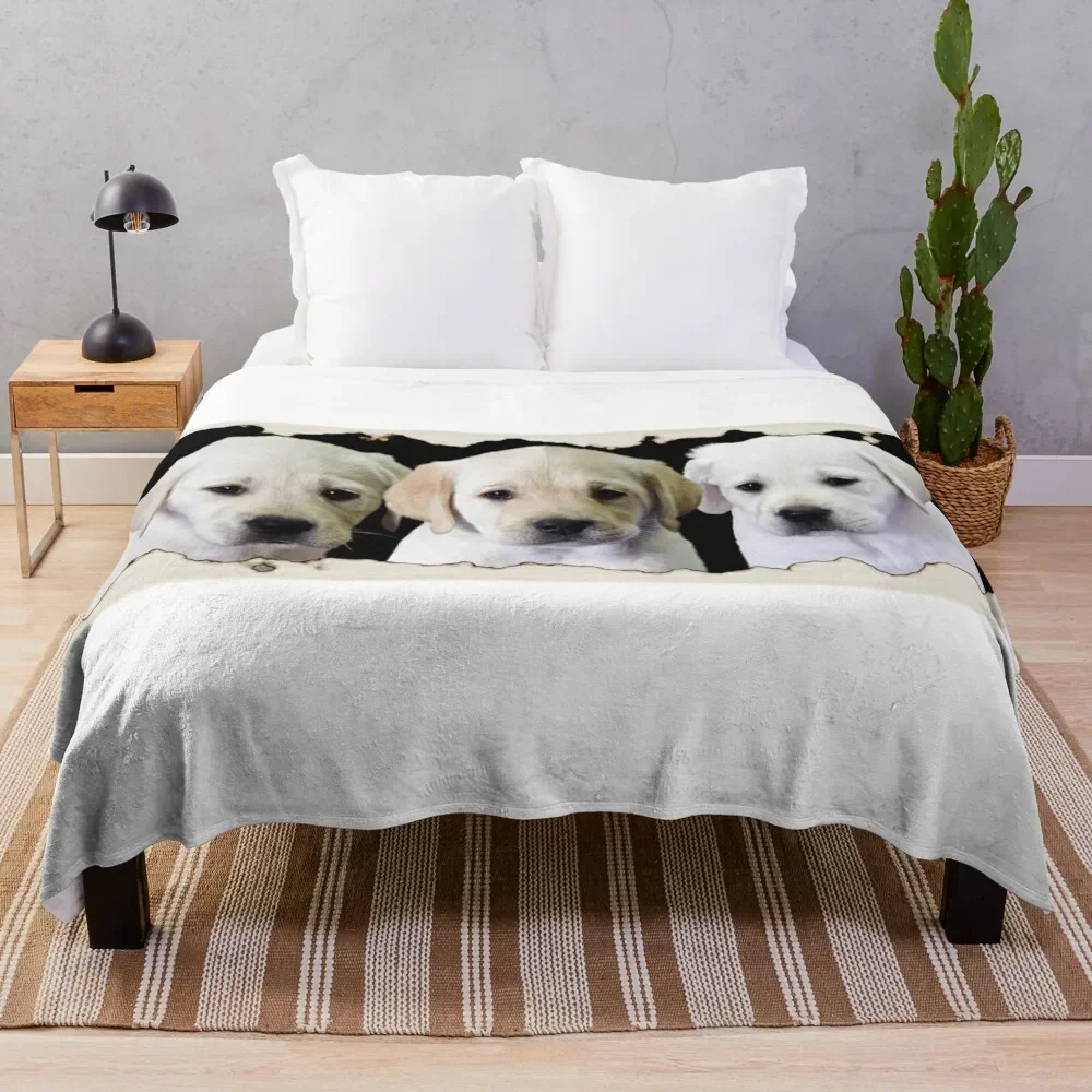 

Three Little Labs Throw Blanket warm for winter Thermals For Travel Blankets