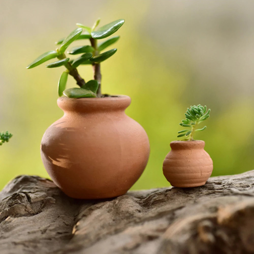 Pots Flower Mini Planter Clay Succulent Pot Ceramic Flowerpot Terracotta Cotta Terra Tiny Nursery Decorative Pottery Miniature