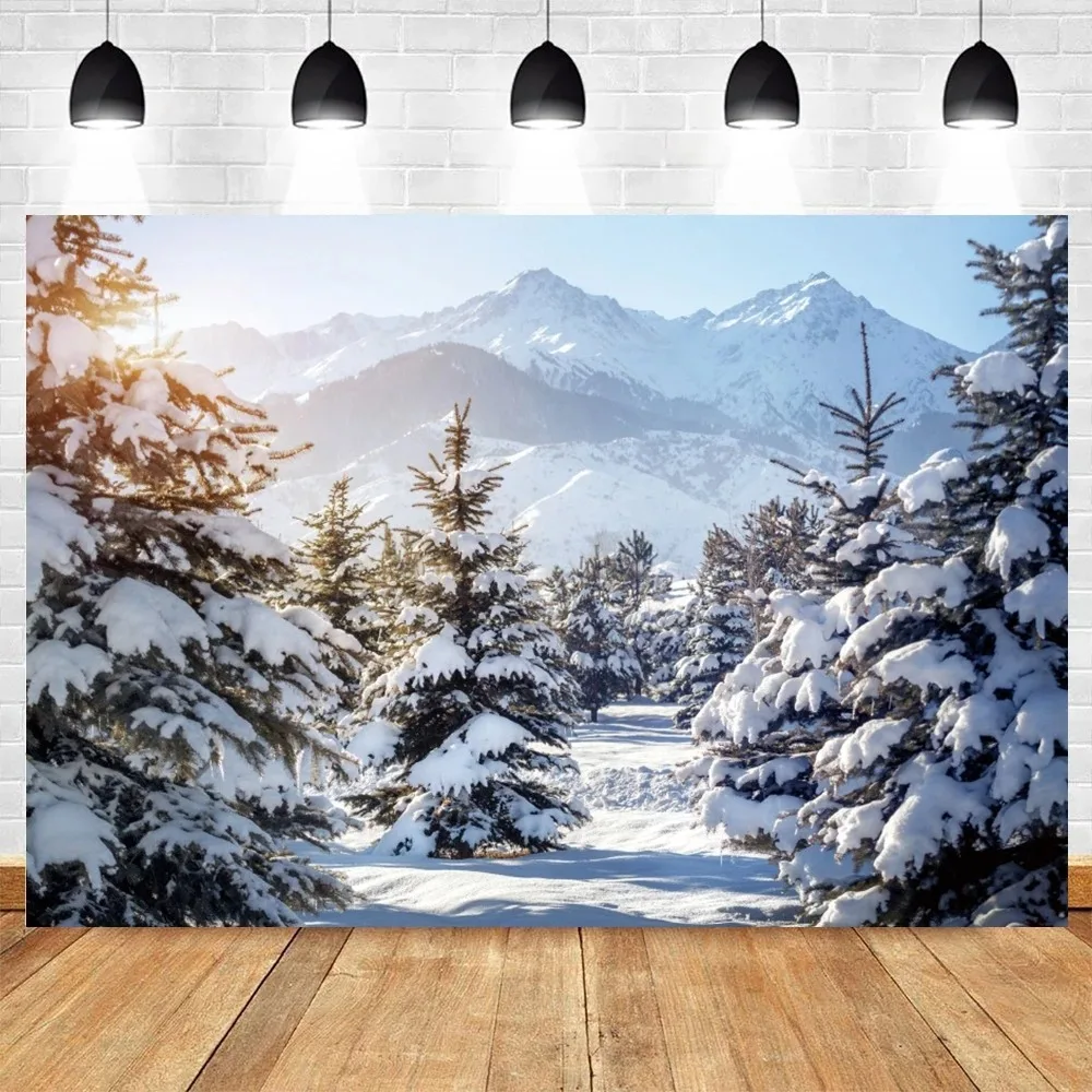 Winter Snow Natural Background 3