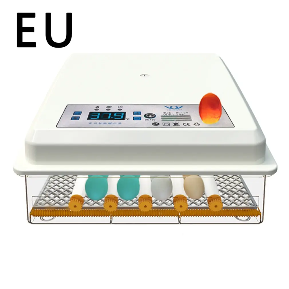 single EU