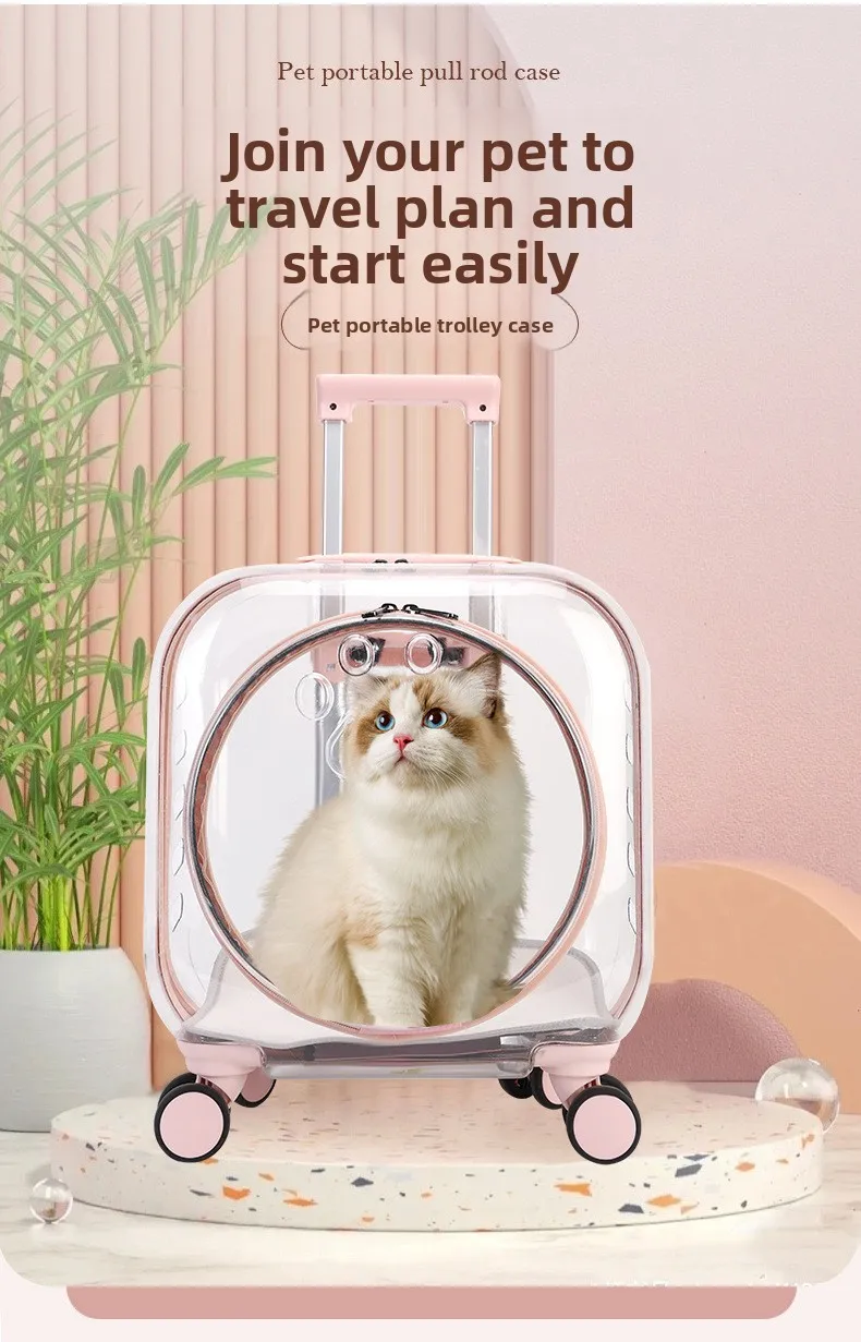 hmqViviiyNSAyin9WuaRt6h/HaNJYu0d0FGC