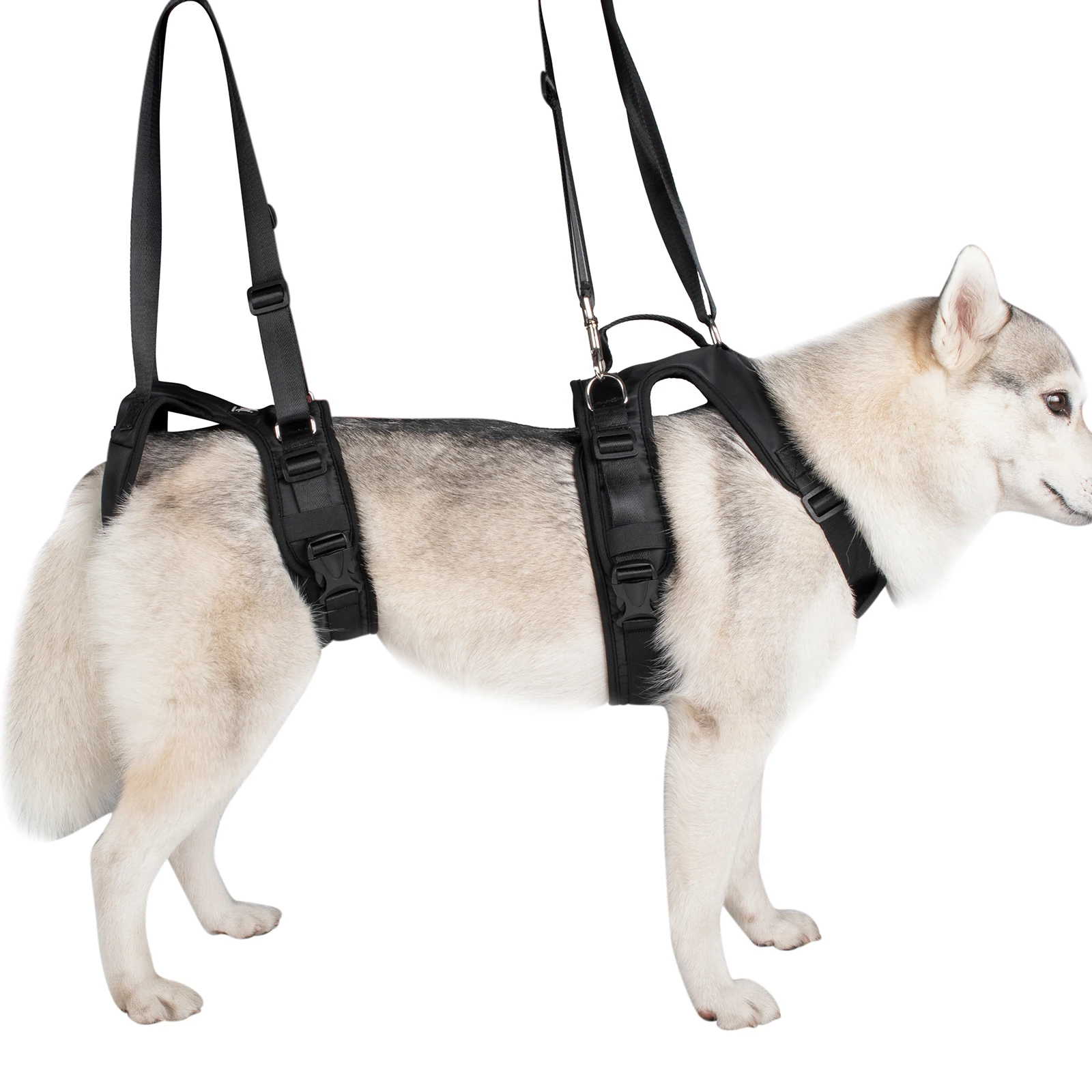 Care Auxiliary Harness & Leash Set Pet Dog Front and Rear Legs Walking