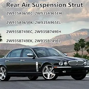 Rear Air Suspension Strut