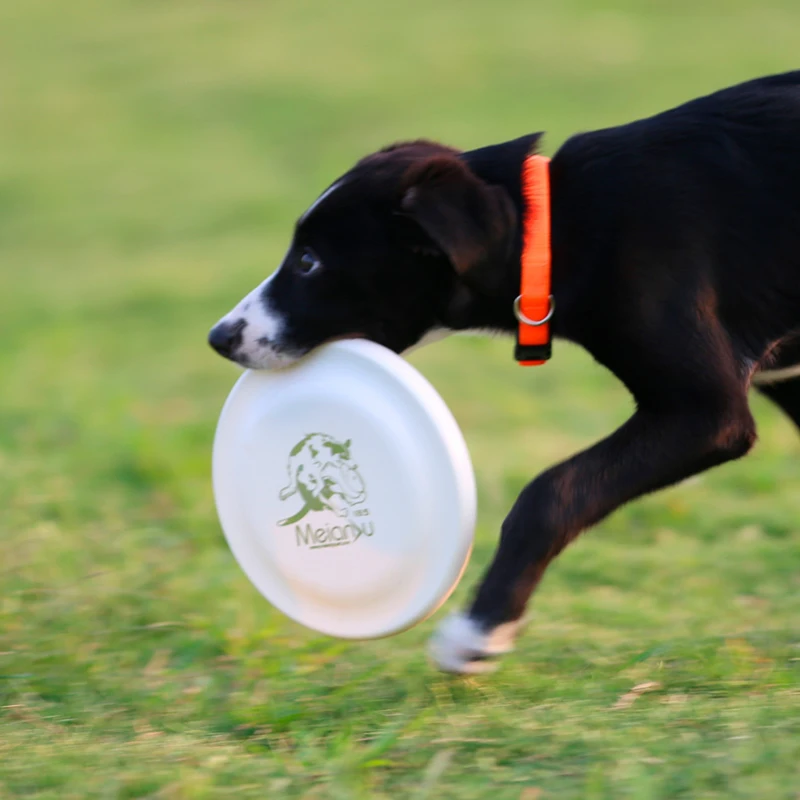 Standard Competition Flying Disc Kids-Dog Interaction Training Outdoor Sports Flying Saucer Plate185mm