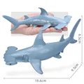 Ocean Animal-05