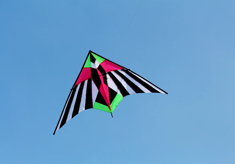 Outdoor Fun Sports New Arrive 2.5m Colorful Triangle Kites  With Handle & Line Good Flying 3