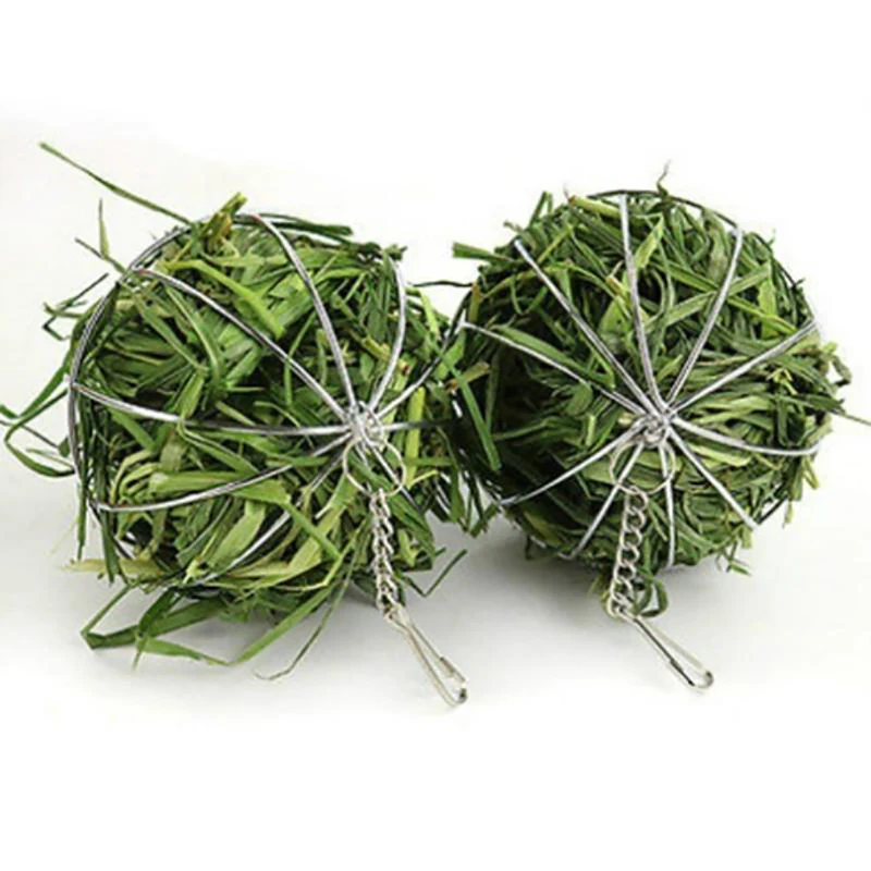 Hanging Hay Feeder Ball 6