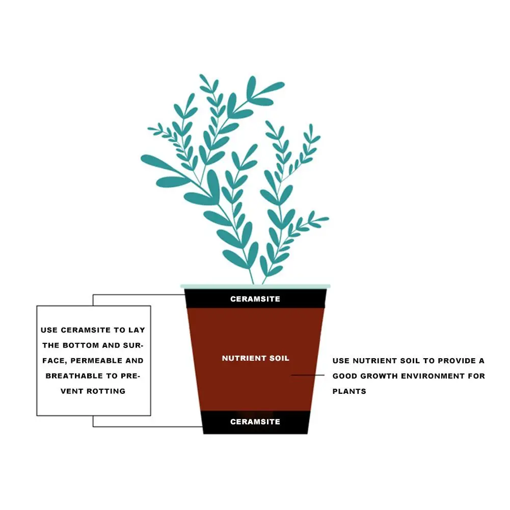 Slide image 59af3c1373dc44d9a086fe67e51382de