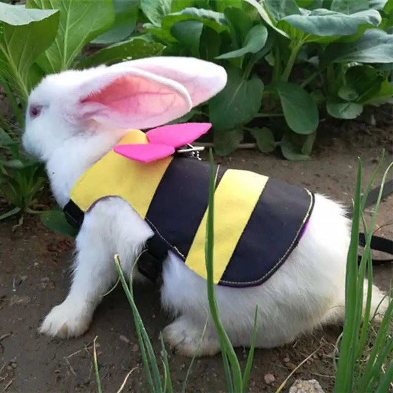

Rabbit Leash Chest Strap Ferret Guinea Pig Bunny Hamster Puppy Bowknot Chest Strap Harness Pet Supplies Bees Traction Rope