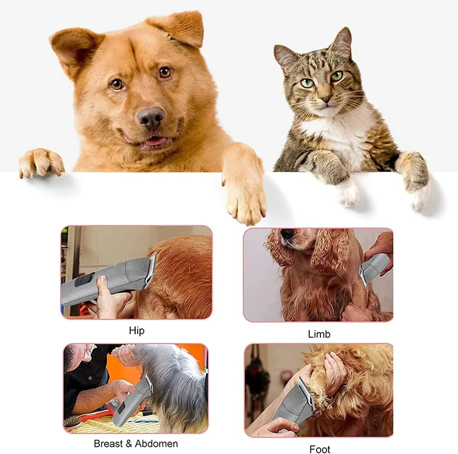 Slide image 212a8c1c3a2e4ed99c99182e8a1a44bb