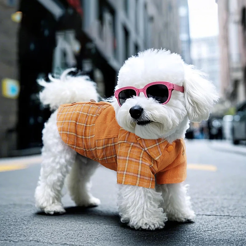 Plaid Cotton Dog Shirt 2