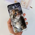 Case-c66