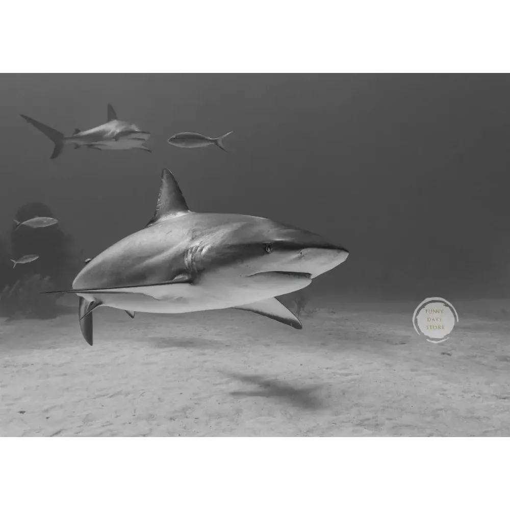 Great White Shark Ocean Giants Canvas Art - Nature Wall Decor Poster
