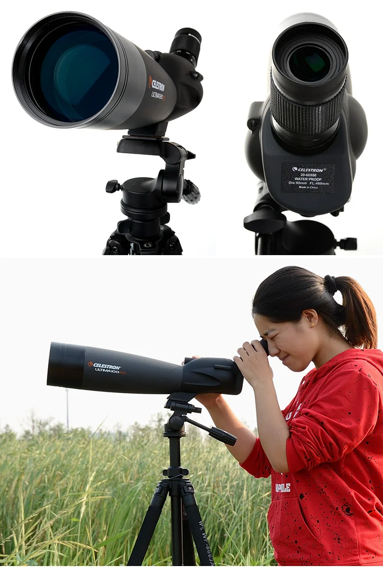 CELESTRON ULTIMA 20-60X80MM ANGLED ZOOM SPOTTING SCOPE WITH SMARTPHONE  ADAPTER - Space Arcade