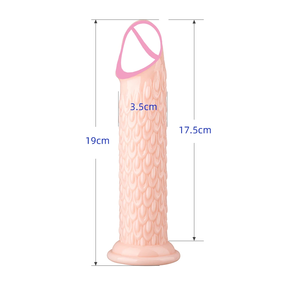 Realistic Dildo Glans Anal Plug 19cm Soft TPE Strong Suction Cup Clitoris Stimulator G-spot Massager for Women