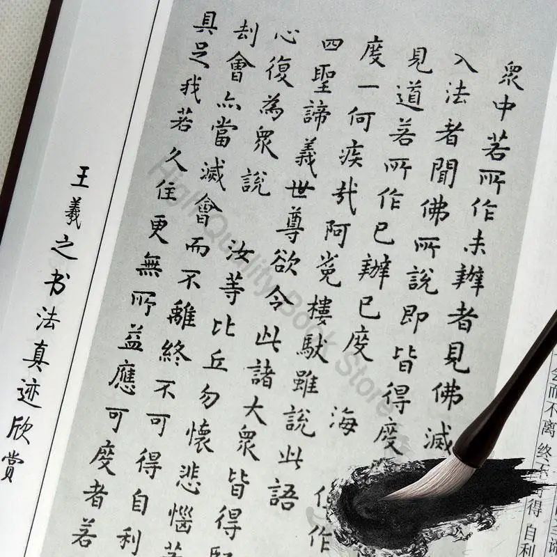 11 Books Appreciation of The Authentic Works of The Five Major Chinese Calligraphers and Famous Chinese Calligraphy