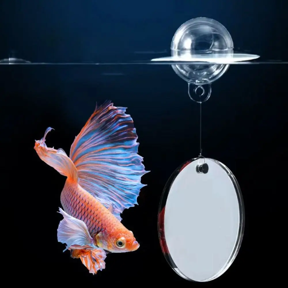 Water Plant Landscape Fish Tank Ornament 4/5/6CM Double-sided Acrylic Betta Training Mirror
