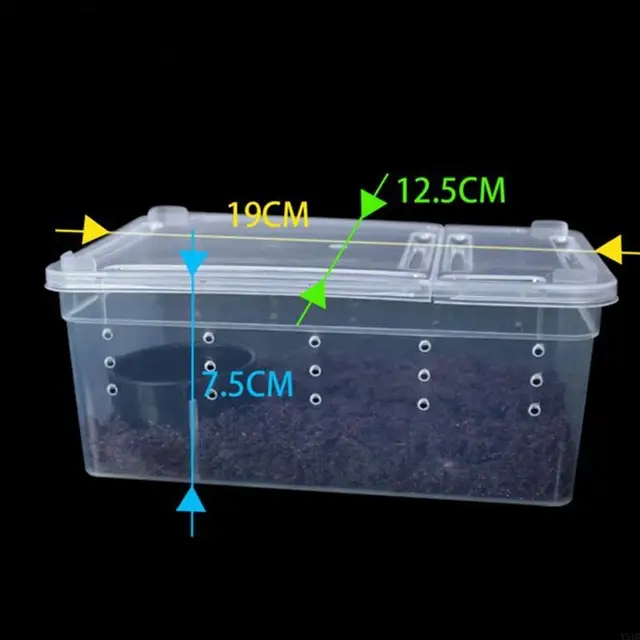 Y51B Portable Terrarium Habitat with Breathable Holes Mini Pet Houses for Spider for Frog Cricket for Turtle S 2