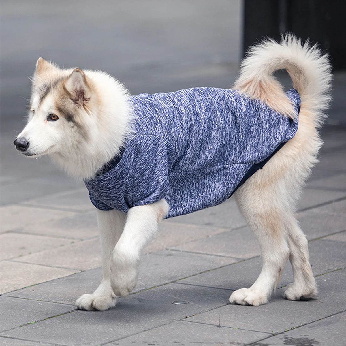 Sweatshirt Elegante para Cães Médios e Grandes | Caprioli - Detalhes