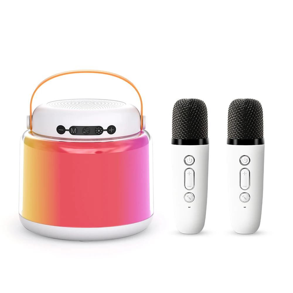 Portable Wireless Dual Microphones Karaoke Machine Bluetooth PA Speaker KTV DSP System HIFI Stereo Sound RGB Colorful LED Lights