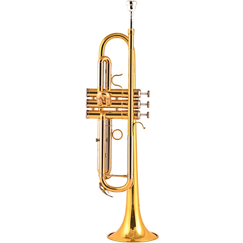 

B-Flat Trumpet, JINYIN JYTR-E108, Paint Gold Brass, Nickel Copper Tuning Slides, Full Set for Professional Performance