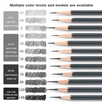 12Pcs Drawing Sketching Pencil Set Wooden Professional Art Pencil Graphite Shading Pencils for Beginners Artists School Supplies 1