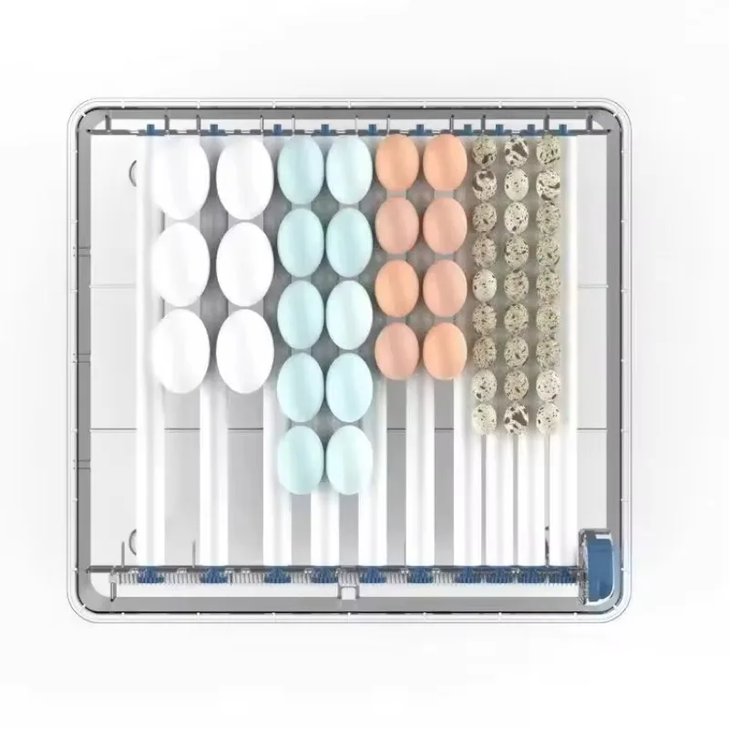 Automatic Egg Incubator Machine 6