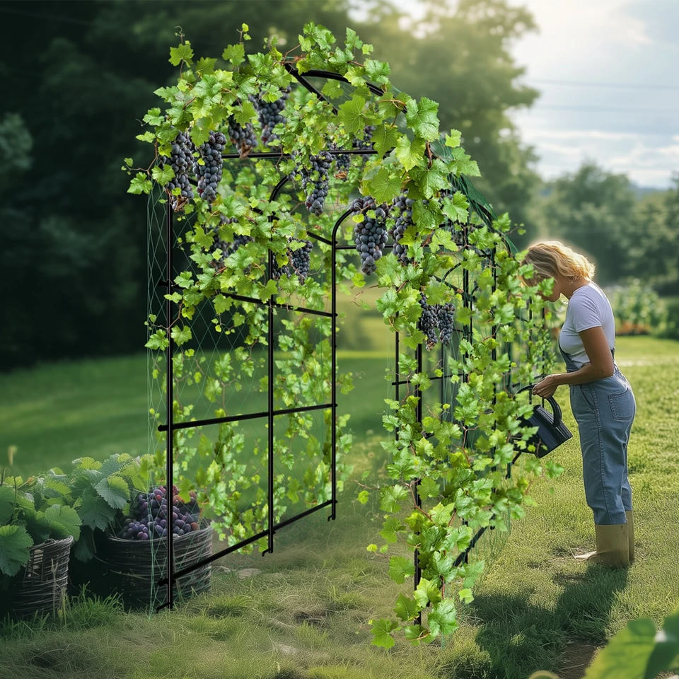 U Shaped Garden Trellis for Climbing Plants
