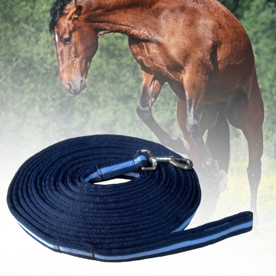 Giuseppe Vecchione Horsemanship: Doma e addestramento cavalli