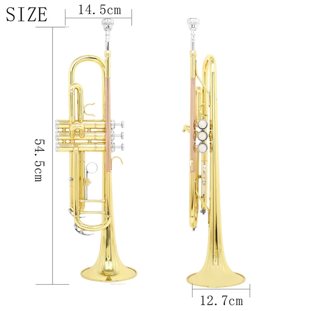 Phosphorus Gold Bb Standard Trumpet Set Brass Student Beginners Trumpet Instruments with Box 7C Blowing Nozzle Gloves - Image 2