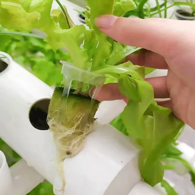 20/50 Stück erdloser Hydrokultur-Wachstumsschwamm für den Innenbereich, Gartenarbeit, gepflanzter Schwamm für Gemüse- und Mikrogrün-Anbausystem – Detail 13