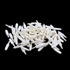 100 Pcs Disposable Cosmetic Makeup Lip Brush Cotton Head Makeup Cosmetic Tool Eyeshadow Lip Gloss Tools Makeup Brush Head 3