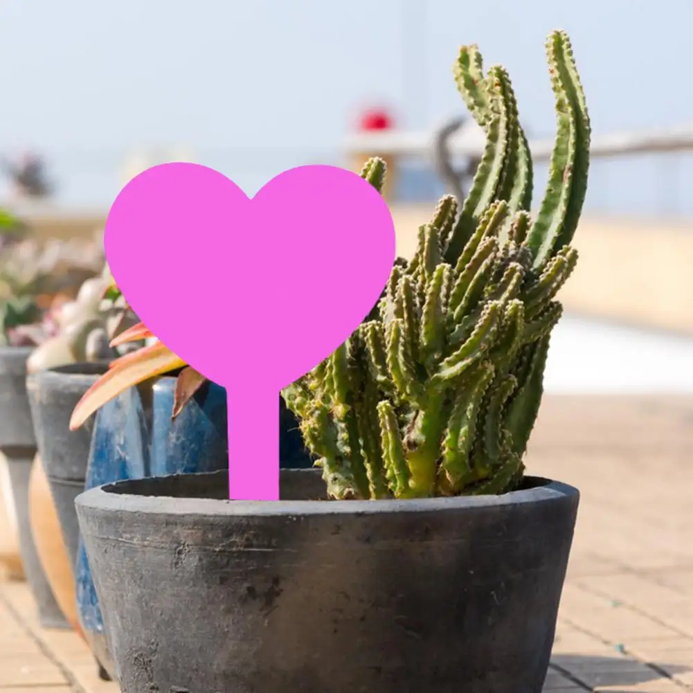 

Outdoor Garden Markers Vibrant Color Waterproof Plant Labels Shape Garden Markers for Indoor Outdoor Use Set of 20 Soil Insert