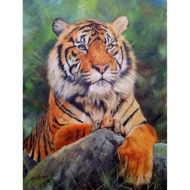 Animal 5D Diamond Painting Parrot Cat Dog Diamond Mosaic Animal Bird Rhinestone Embroidery Full Round Diamond Cross Stitch Kit CY-DW04277AE6