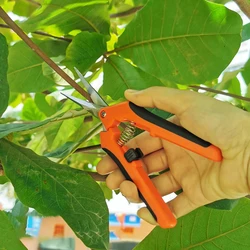 16.5cm jardim tesouras de poda ferramentas de jardim tesoura cortador planta horticultura folha aparador tesoura pomar frutas flor pomar✈✈✈