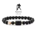 Aquarius 2