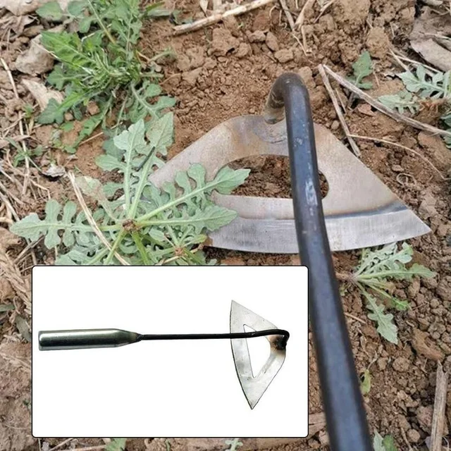1Dc All-Acél Edzett Üreges Kapa Kézi Gyomnövény Gereblye Ültetés Zöldség Mezőgazdasági Kerti Szerszám Gyomnövényes Kiegészítők - Image 4