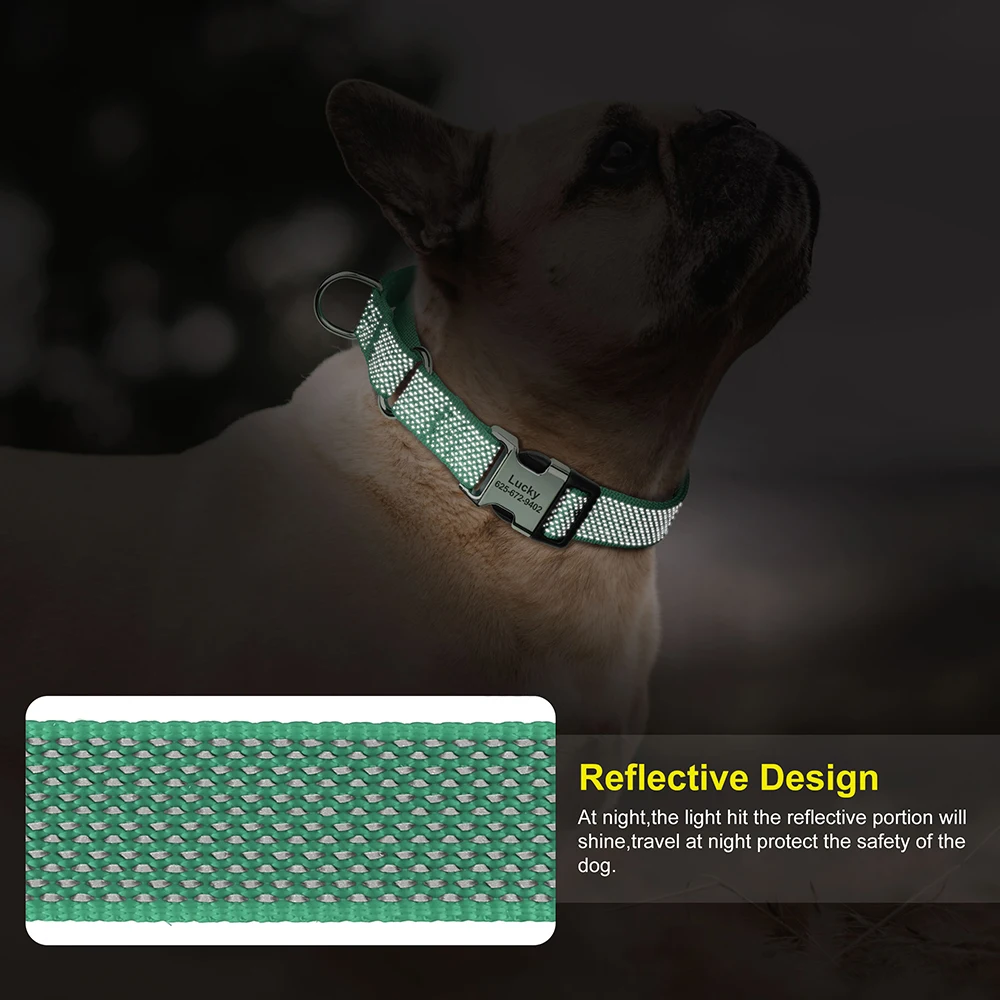 Custom Martingale Dog Collar 4