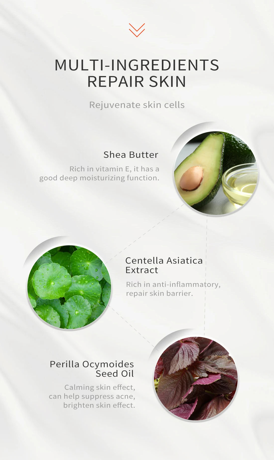 Description Picture 4 of itemShea Butter Nourishing Repair Facial Cleanser Skin Care Whitening Anti-Aging Gentle Cleansing Skin Clean And Soothing Face Care